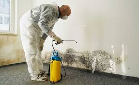 Best Mold Prevention Services  in Wilkesboro, NC